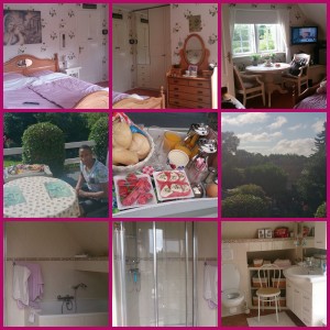 Collage B&B