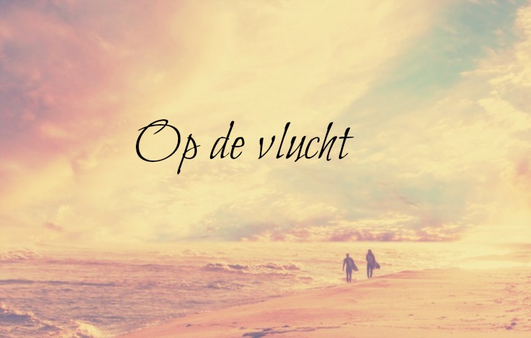 op-de-vlucht