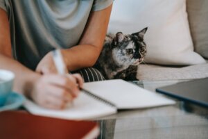 kat adopteren
