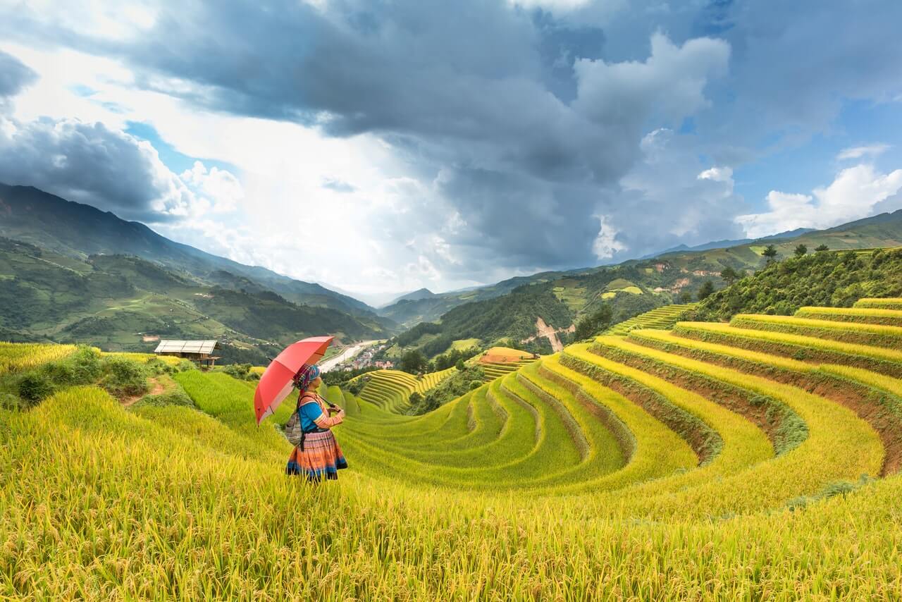 meisje rode paraplu op rijstveld