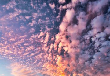 roze wolkenlucht:natuur heelt