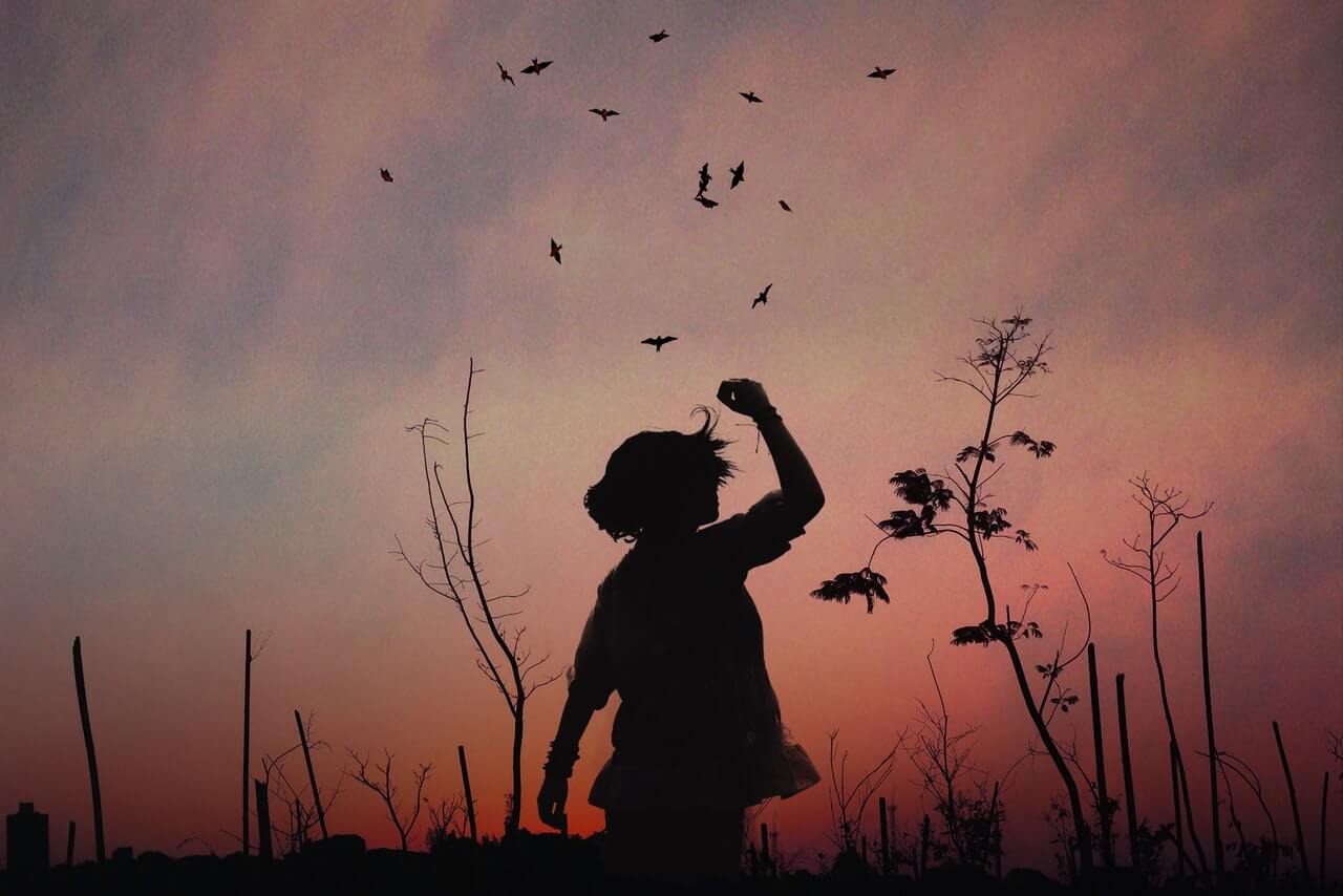 kind kijkt naar vogels die wegvliegen in roze avondlucht: Loslaten
